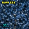RAW  883