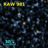 RAW  981