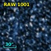 RAW 1001