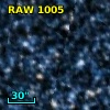 RAW 1005