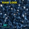 RAW 1008