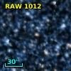 RAW 1012