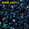 RAW 1021