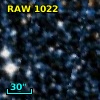 RAW 1022