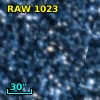 RAW 1023