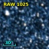 RAW 1025