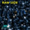 RAW 1028
