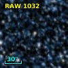 RAW 1032