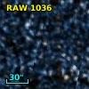 RAW 1036