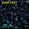RAW 1037