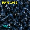RAW 1039