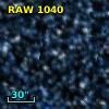 RAW 1040