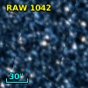 RAW 1042