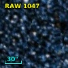 RAW 1047