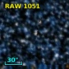 RAW 1051