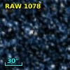 RAW 1078