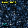 RAW 1079