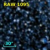 RAW 1095