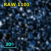 RAW 1101