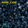 RAW 1109