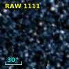 RAW 1111