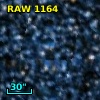 RAW 1164