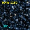 RAW 1180