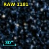 RAW 1181