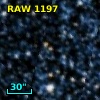 RAW 1197