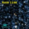 RAW 1198