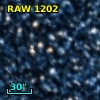 RAW 1202