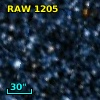 RAW 1205