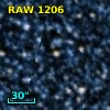 RAW 1206
