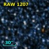 RAW 1207