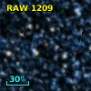 RAW 1209