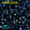RAW 1210