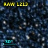 RAW 1213