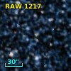 RAW 1217