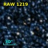 RAW 1219