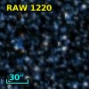 RAW 1220