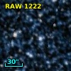 RAW 1222
