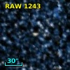 RAW 1243
