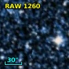 RAW 1260