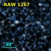 RAW 1267