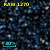 RAW 1270