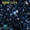 RAW 1271