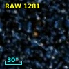 RAW 1281