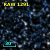 RAW 1291