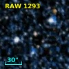 RAW 1293