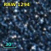 RAW 1294